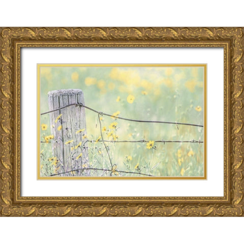 Wildflowers By Fence Post Color Gold Ornate Wood Framed Art Print with Double Matting by Schell, Jennie Marie