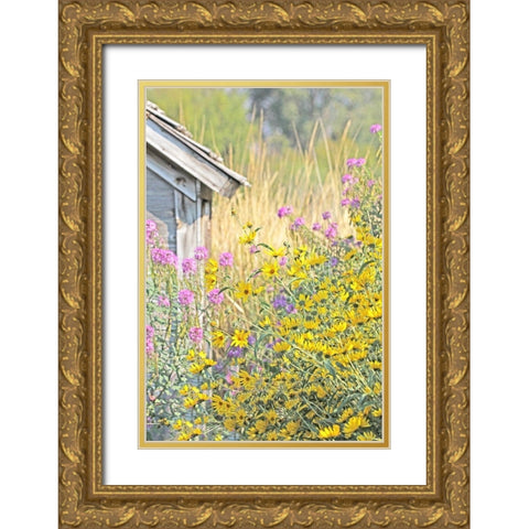 Wildflowers By Shack Gold Ornate Wood Framed Art Print with Double Matting by Schell, Jennie Marie