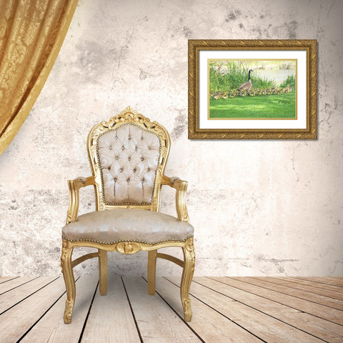 Canada Goose and Goslings Gold Ornate Wood Framed Art Print with Double Matting by Schell, Jennie Marie