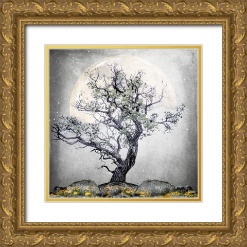 August Tree 5 Gold Ornate Wood Framed Art Print with Double Matting by LightBoxJournal