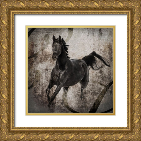 GypsyHorse Collection V1 3 Gold Ornate Wood Framed Art Print with Double Matting by LightBoxJournal