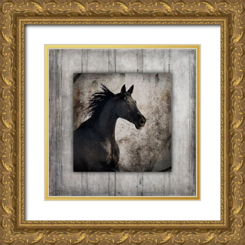 GypsyHorse Collection V1 5 Gold Ornate Wood Framed Art Print with Double Matting by LightBoxJournal