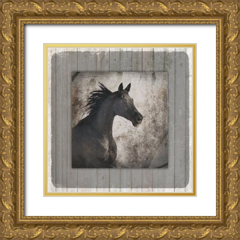 GypsyHorse Collection V1 10 Gold Ornate Wood Framed Art Print with Double Matting by LightBoxJournal