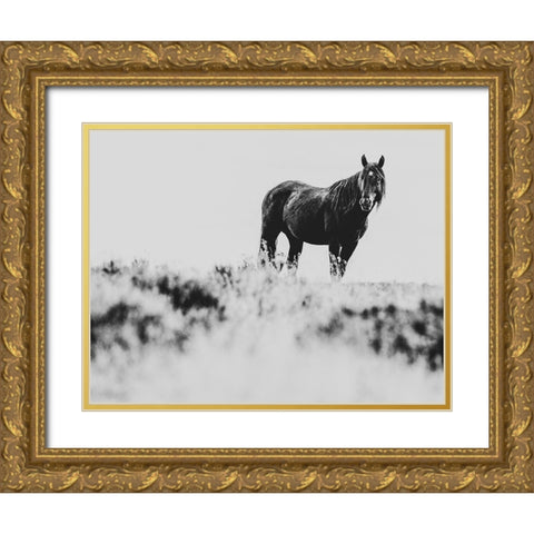 Wild Horses of the Great Basin 01 Gold Ornate Wood Framed Art Print with Double Matting by LightBoxJournal