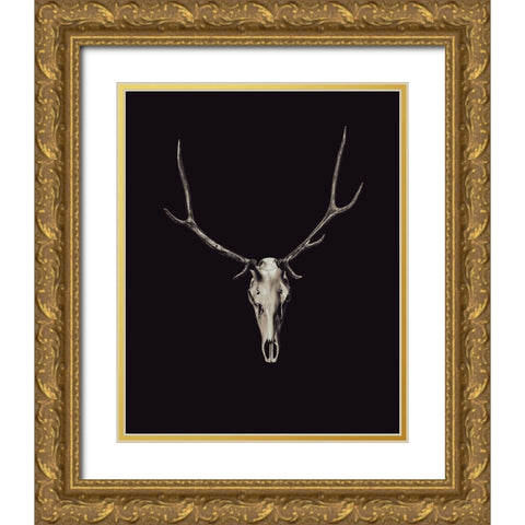 The Rustic Antler 03 Gold Ornate Wood Framed Art Print with Double Matting by LightBoxJournal