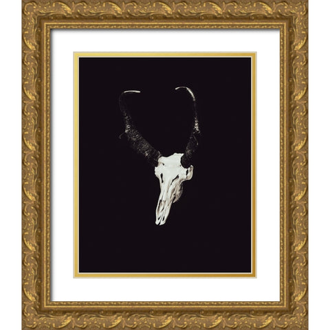 The Rustic Antler 07 Gold Ornate Wood Framed Art Print with Double Matting by LightBoxJournal
