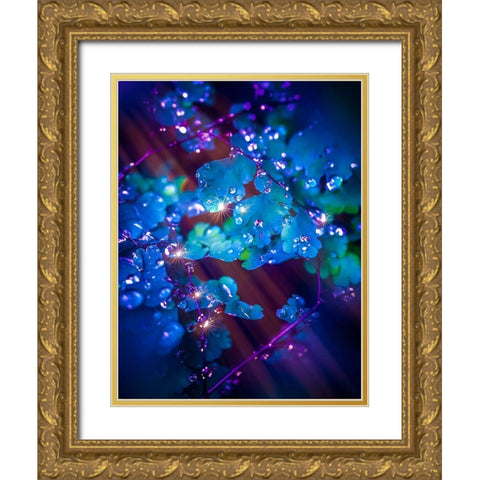 IMG_7586 Gold Ornate Wood Framed Art Print with Double Matting by Love Grams