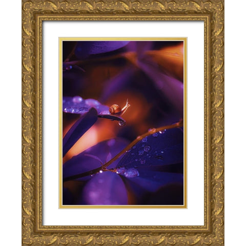 IMG_7588 Gold Ornate Wood Framed Art Print with Double Matting by Love Grams
