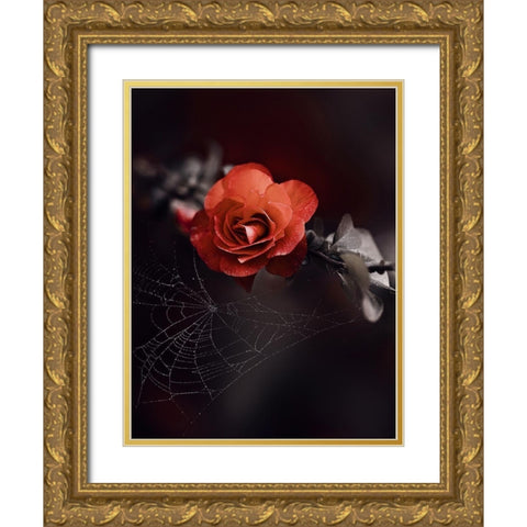 IMG_7596 Gold Ornate Wood Framed Art Print with Double Matting by Love Grams