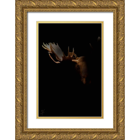 Moose Staredown Gold Ornate Wood Framed Art Print with Double Matting by Murray Henderson Fine Art