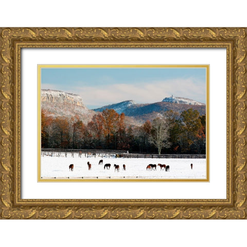 Early Snow Horse Paddock Gold Ornate Wood Framed Art Print with Double Matting by Goldwitz, Robert