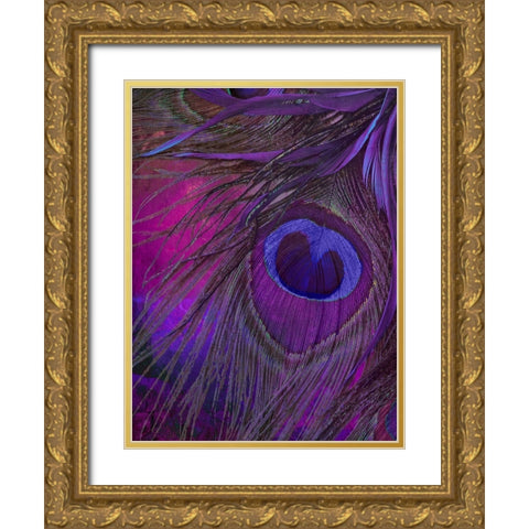 Peacock Candy IV Gold Ornate Wood Framed Art Print with Double Matting by Sasha