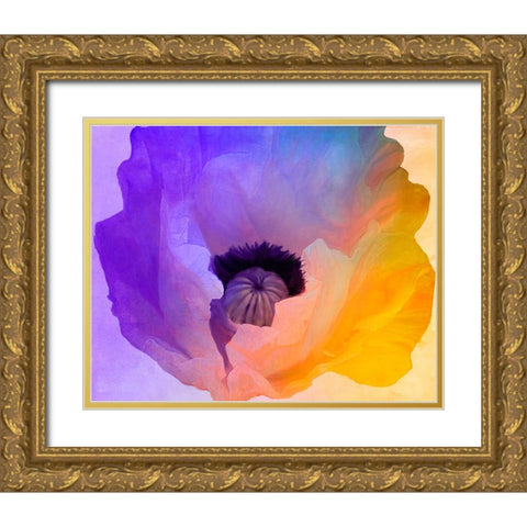 Poppy Gradient III Gold Ornate Wood Framed Art Print with Double Matting by Sasha