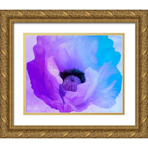 Poppy Gradient IV Gold Ornate Wood Framed Art Print with Double Matting by Sasha