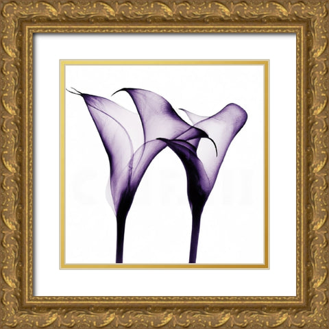 Purple Calla One Gold Ornate Wood Framed Art Print with Double Matting by Sasha