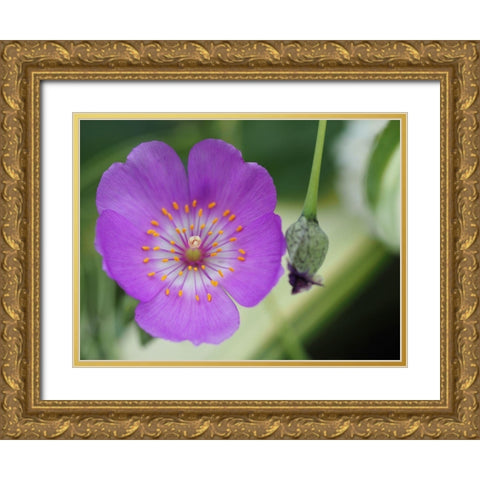 Jazz Time Gold Ornate Wood Framed Art Print with Double Matting by Bonin, Suzanne