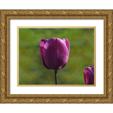 Early Morning Gold Ornate Wood Framed Art Print with Double Matting by Bonin, Suzanne