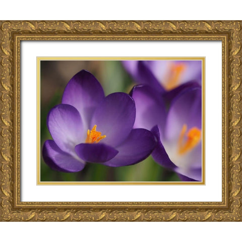 Heart Of Gold Gold Ornate Wood Framed Art Print with Double Matting by Bonin, Suzanne