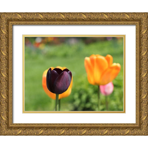 The Queen Gold Ornate Wood Framed Art Print with Double Matting by Bonin, Suzanne