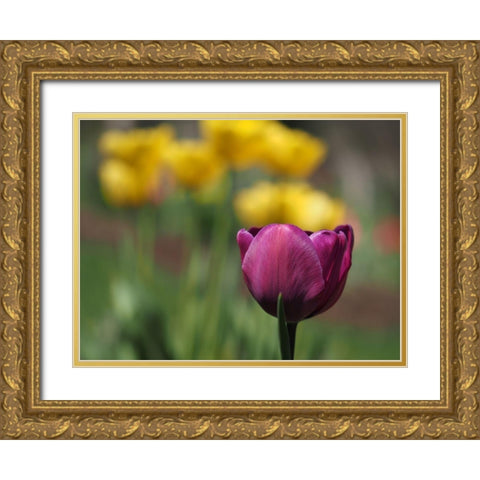 Hello Ladies Gold Ornate Wood Framed Art Print with Double Matting by Bonin, Suzanne