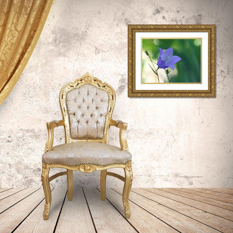 Bluebell Flower Gold Ornate Wood Framed Art Print with Double Matting by Bonin, Suzanne