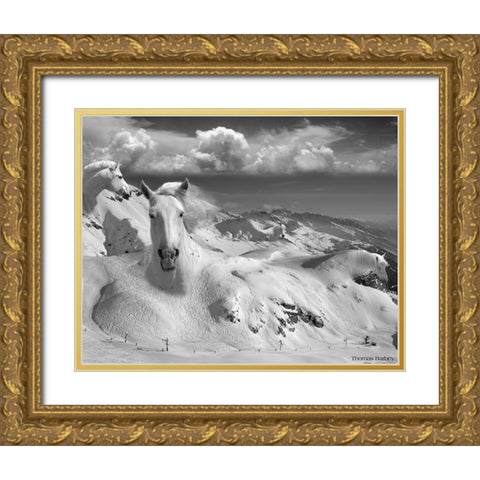 Icy Studs Gold Ornate Wood Framed Art Print with Double Matting by Barbey, Thomas