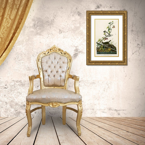 Golden Crowned Thrush Gold Ornate Wood Framed Art Print with Double Matting by Vintage Apple Collection