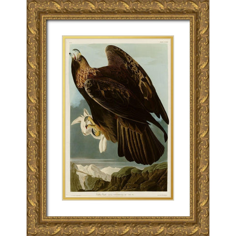 Golden Eagle Gold Ornate Wood Framed Art Print with Double Matting by Vintage Apple Collection