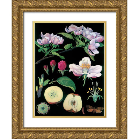 Apple Tree Gold Ornate Wood Framed Art Print with Double Matting by Vintage Apple Collection