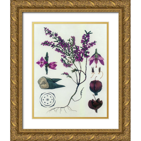 Heather Gold Ornate Wood Framed Art Print with Double Matting by Vintage Apple Collection