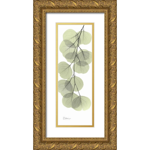 Eucalyptus in Green 3 Gold Ornate Wood Framed Art Print with Double Matting by Koetsier, Albert
