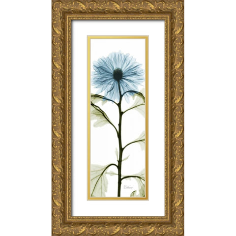 Long Blue Chrysanthemum Gold Ornate Wood Framed Art Print with Double Matting by Koetsier, Albert