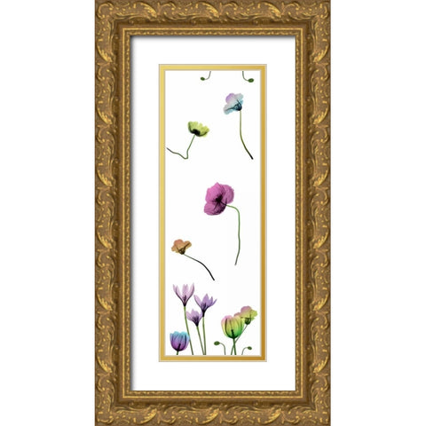 Floral Rainbow Pattern Gold Ornate Wood Framed Art Print with Double Matting by Koetsier, Albert