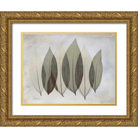 Coculus Leaf L348 Gold Ornate Wood Framed Art Print with Double Matting by Koetsier, Albert