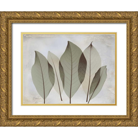 Magnolia Leaf Gold Ornate Wood Framed Art Print with Double Matting by Koetsier, Albert