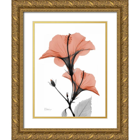 Soft Hibiscus Gold Ornate Wood Framed Art Print with Double Matting by Koetsier, Albert