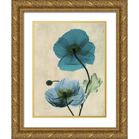 Iceland Poppy Gold Ornate Wood Framed Art Print with Double Matting by Koetsier, Albert
