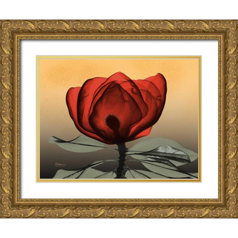Hot Magnolia 2 Gold Ornate Wood Framed Art Print with Double Matting by Koetsier, Albert