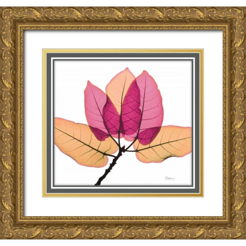 Ficus Burkey Gold Ornate Wood Framed Art Print with Double Matting by Koetsier, Albert