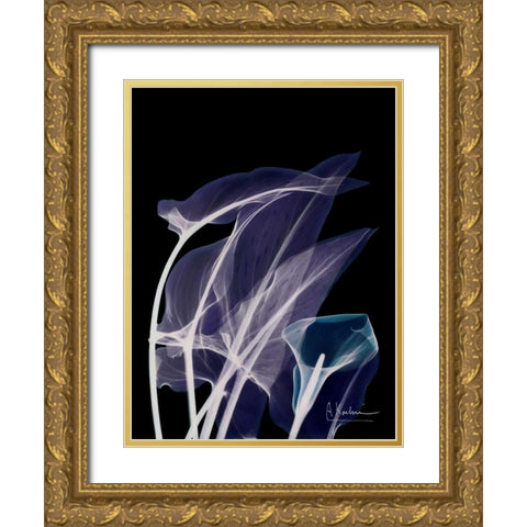Lily Xray Gold Ornate Wood Framed Art Print with Double Matting by Koetsier, Albert