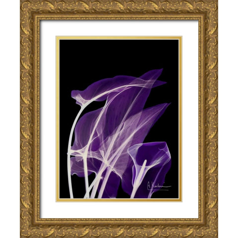 Purple Calla Gold Ornate Wood Framed Art Print with Double Matting by Koetsier, Albert