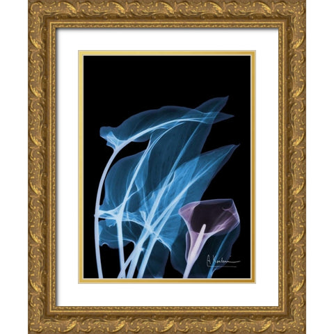 Blue Purple Calla Gold Ornate Wood Framed Art Print with Double Matting by Koetsier, Albert