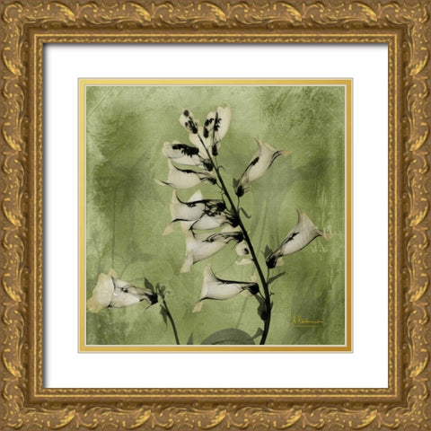 Golden Fox Glove Gold Ornate Wood Framed Art Print with Double Matting by Koetsier, Albert