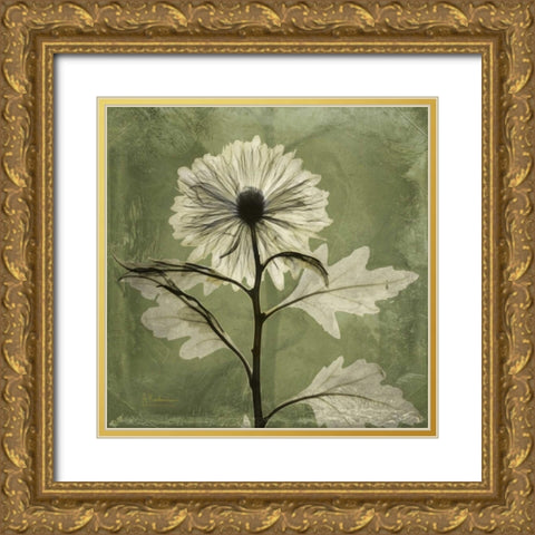Chrysanthemum Gold Ornate Wood Framed Art Print with Double Matting by Koetsier, Albert
