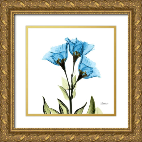Gentian Sapphire L301 Gold Ornate Wood Framed Art Print with Double Matting by Koetsier, Albert