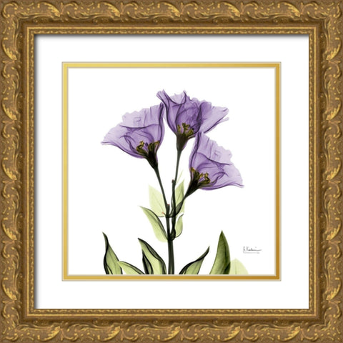 Gentian Purple L301 Gold Ornate Wood Framed Art Print with Double Matting by Koetsier, Albert