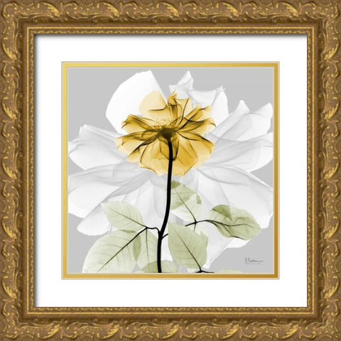 Rose in Gold 2 Gold Ornate Wood Framed Art Print with Double Matting by Koetsier, Albert