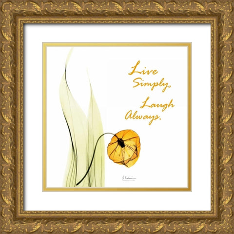 Live Laugh Sandersonia H51 Gold Ornate Wood Framed Art Print with Double Matting by Koetsier, Albert