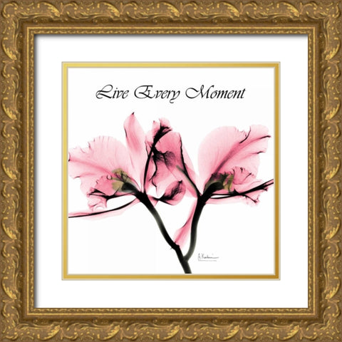 Moment Orchid Gold Ornate Wood Framed Art Print with Double Matting by Koetsier, Albert