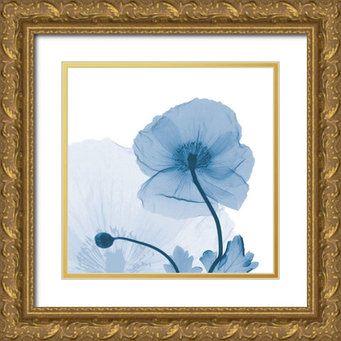 Indigo Iceland Poppy Gold Ornate Wood Framed Art Print with Double Matting by Koetsier, Albert